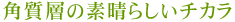 �p���w�̑f���炵���`�J��