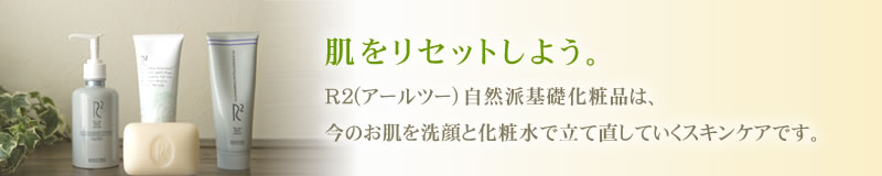 �������Z�b�g���悤 - ���Z�b�g����R2(�A�[���c�[)